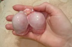 Видео девушка давит руками яйца мужику