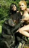 Девушка и шимпанзе секс